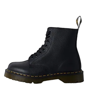 1460 Pascal Bex