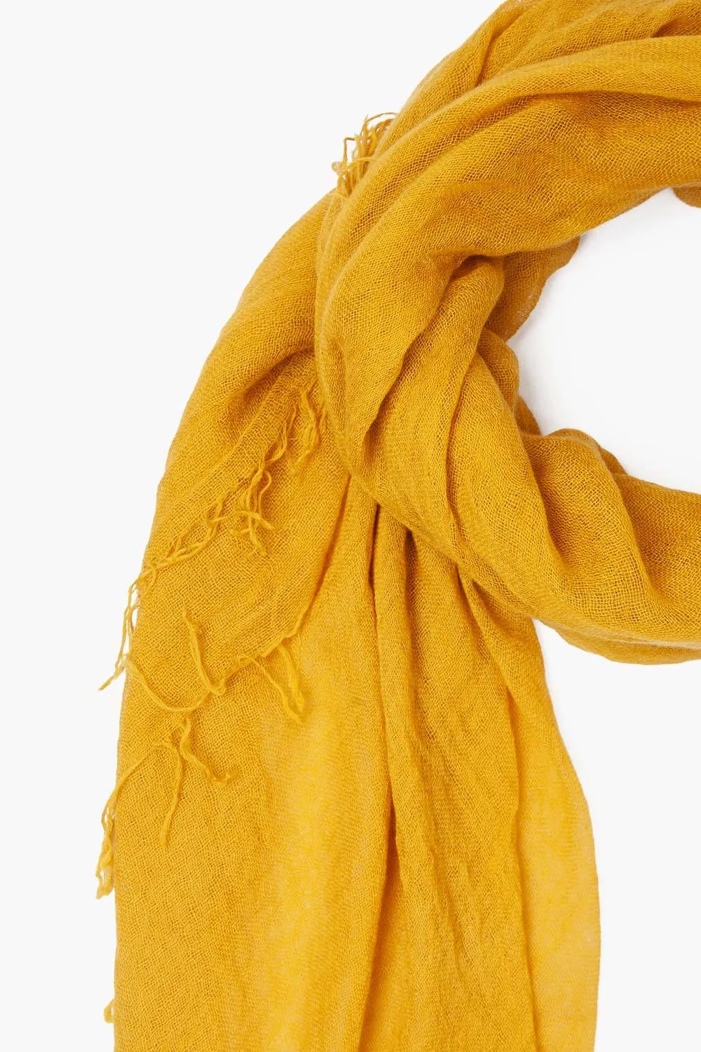 Cashmere and Silk Scarf Arrowwood