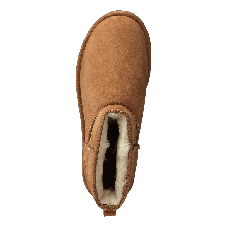 Classic Mini Men Chestnut