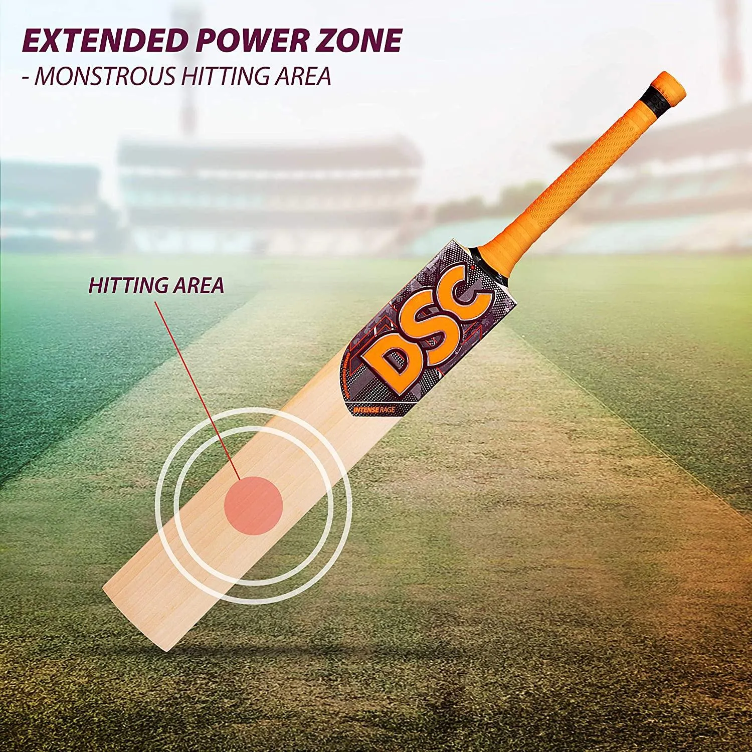 DSC Intense Rage English Willow Cricket Bat