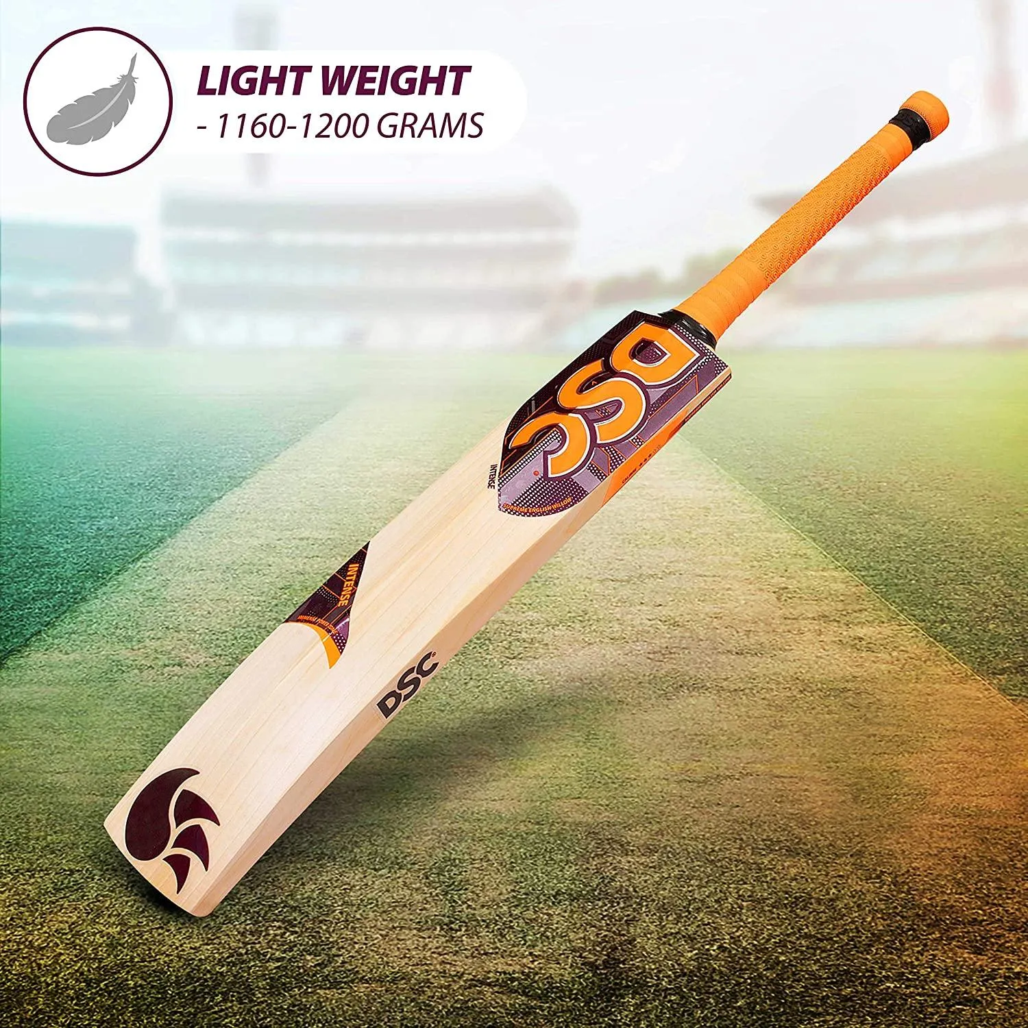 DSC Intense Rage English Willow Cricket Bat