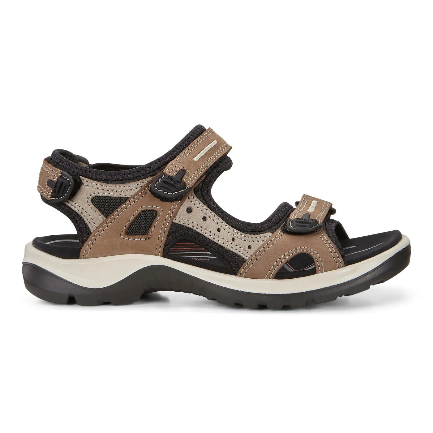 ECCO 69563 YUCATAN BIRCH